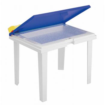 Aladino Børne Bord 60x45 (289B)