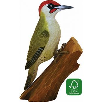 Fugle i træ - Grønspætte